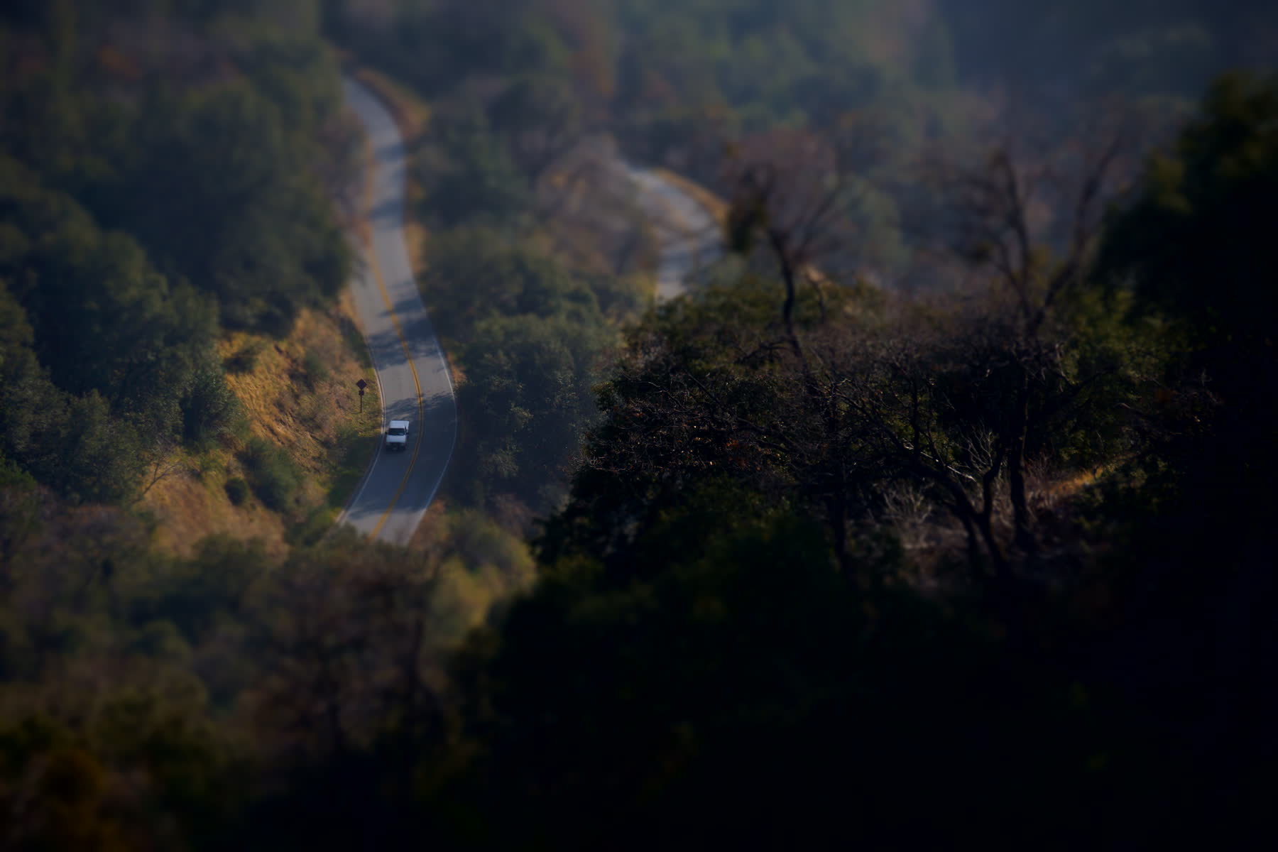 Carretera de montaña con un auto solitario entre los árboles